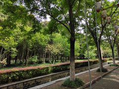 -洛阳市隋唐城遗址植物园