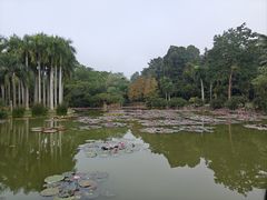 -中国科学院西双版纳热带植物园