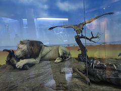 -国家自然博物馆