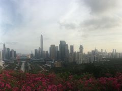 -皖北巫氏三胖地锅鸡(长淮总店)