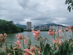 -飞来湖湿地公园