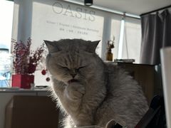 -Oasis绿洲银饰珍珠手作diy(壹方城店)