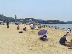 -大梅沙海滨公园