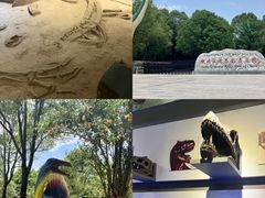 -中国西峡恐龙遗迹园