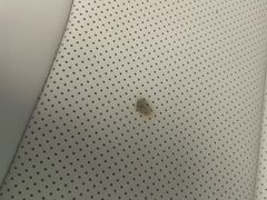 -天猫养车贴膜轻改·蓝电(优匹康桥东路店)