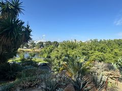 -墨尔本皇家植物园