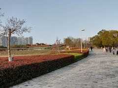 -白塘生态植物园