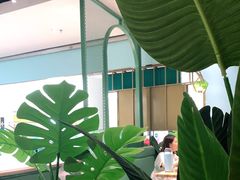 -春润大地海南椰子鸡(沙井京基百纳广场店)