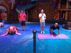 -烟台海昌鲸鲨海洋公园