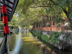 -侨美·唐荔园·40年地道粤菜