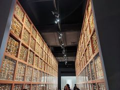 -青海藏文化博物院