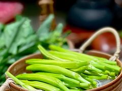 -蘑界·野生菌火锅(深业上城店)