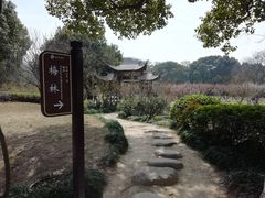 -白马涧龙池景区