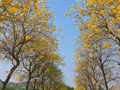 -盈香心动乐园