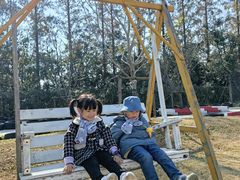 -前小桔亲子创意农场·草莓采摘·露营烧烤