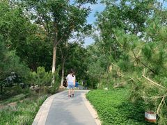 -西海子公园