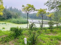 -东郊湿地公园
