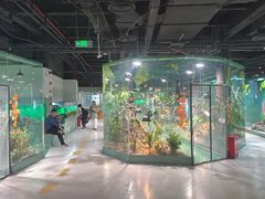 -上海大自然野生昆虫馆(东方明珠·爬宠昆虫探索中心)
