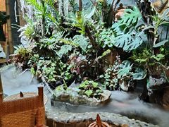 -多哥水傣味餐厅(司马巷店)
