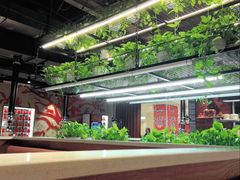 -猫爪爪原切自助烤肉(观音桥阳光世纪店)