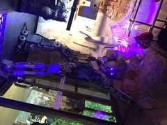 iphone_upload_pic-很久以前羊肉串(大华三路店)