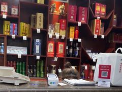 -品味居·首店·大连鲜活海鲜大连菜(东港店)