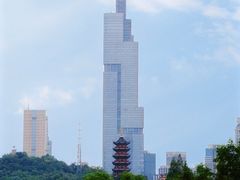 -紫峰大厦