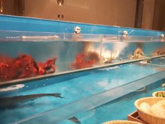 -许家菜(DT51店)