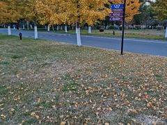 -辽东学院(南校区)