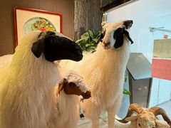 -百草滩羊清水涮羊肉·清真·宁夏盐池滩羊(莲花桥店)