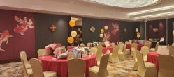 -童话气球party布置宝宝宴生日求婚派对(厦门店)