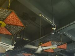 -灶东家民间菜(回兴店)