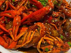 -不炭白烧烤(成都首店)