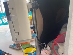 -中国农业大学动物医院