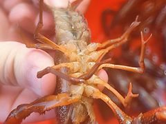 -三炮儿烧烤·羊锅·铁锅炖(南京首店)