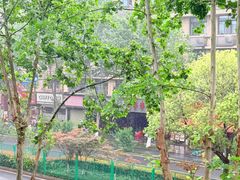 -成都市活水公园