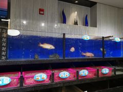 水产区-豫璟轩中餐厅(南昌万怡店)