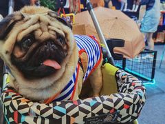 -东浩兰生上海世博展览馆