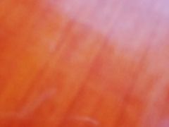 -猎德游泳池(猎德花园店)