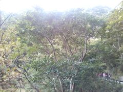 -太鲁阁公园