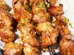 红柳枝羊肉串-湘里乡亲甲王二老店