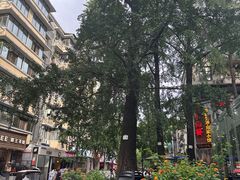 -奎星楼街