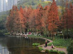 -重庆彩云湖湿地公园