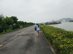 -海鸥岛