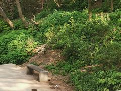 -黔灵山公园