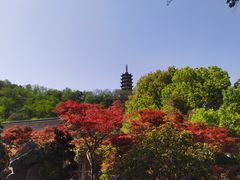 -焦山风景区