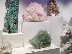 -重庆自然博物馆(新馆)