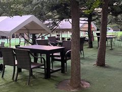 -尚庄度假村·庭台树下·户外烧烤·团建CS·轰趴营地(上庄水库店)