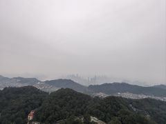 -大金鹰园