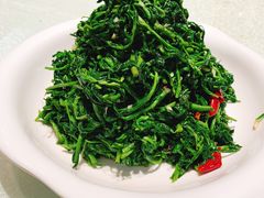 豆苗-老毛手抓·盐池滩羊非遗手抓(宁夏总店)
